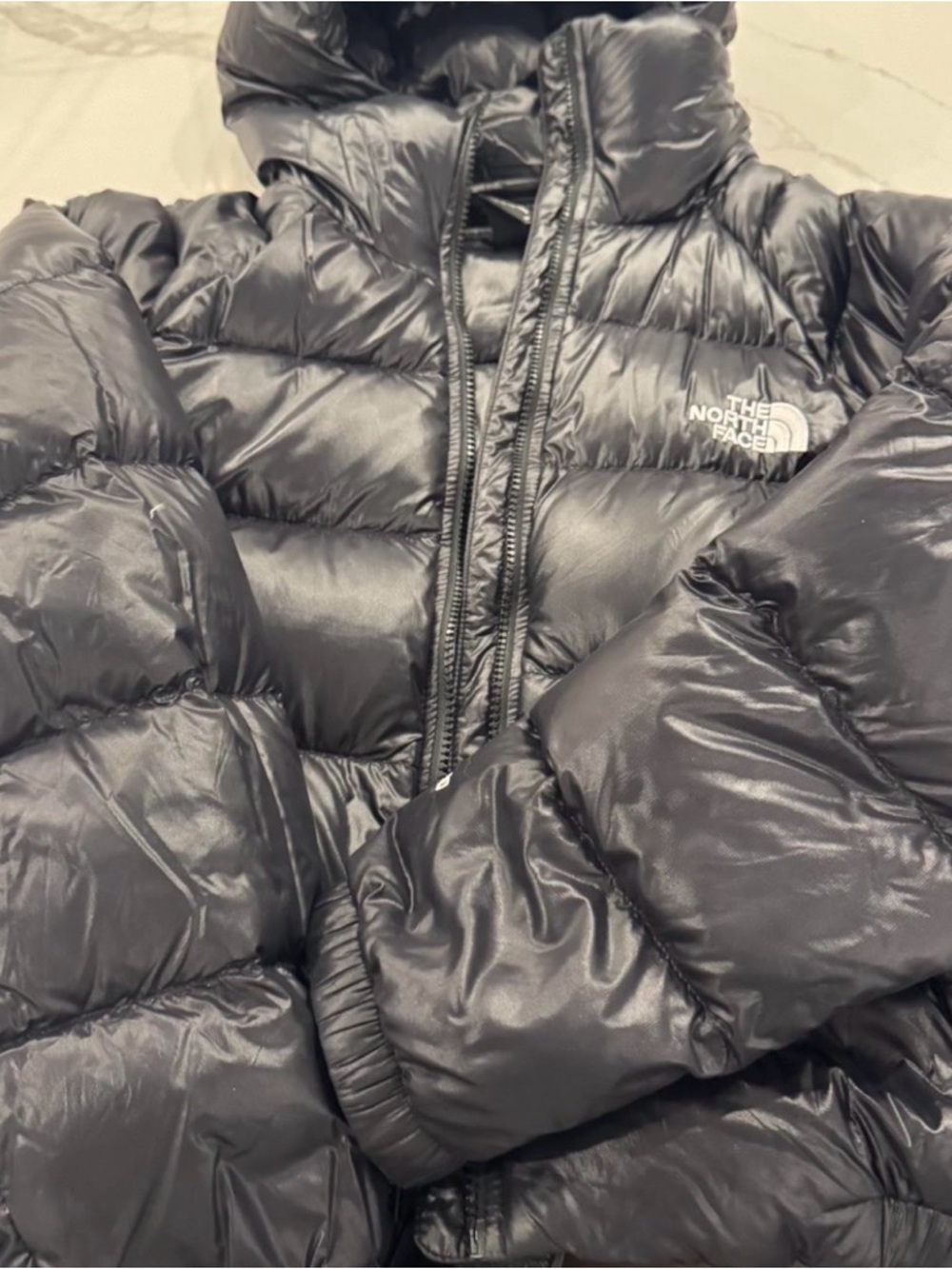 The North Face Shiny Black Down Jacket with Logo Tag